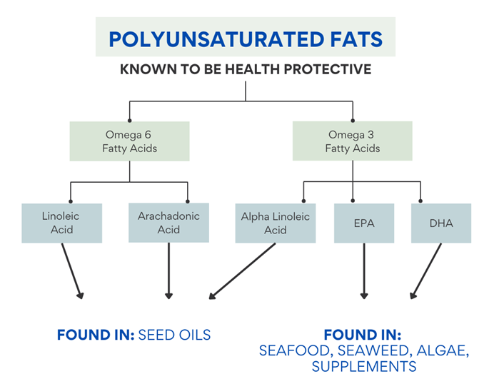 A diagram of a polyunsaturated fats which are known to be health protective. There are two types: Omega 6 Fatty Acids which include linoleic acid and Arachadonic Acid and are found in seed oils; and Omega 3 Fatty Acids which include EPA and DHA which are found in seafood, seaweed, algae, and supplements as well as Alpha Linoleic Acid which is found in Seed oils.