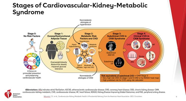 A graphic image illustrating the stages of Cardiovascular-Kidney-Metabolic Syndrome. Stage 0 shows a graphic image of a healthy woman jogging and the logo for the AHA's Life's Essential 8 calculator, which focuses on primordial prevention and preserving cardiovascular health. From that starting point, a white arrow points into a yellow zone for Stage 1: Excess/Dysfuntional Adipose Tissue, which shows a cutout of an overweight/obese figure, a microscopic view of dysfunctional adipose tissue, and feet on a scale over the caption: Overweight/obesity, Abdominal obeisty, Impared glucose tolerance. From there, a light yellow arrow points into a darker yellow zone for Stage 2: Metabolic Risk Factors and CKD showing an illustration of the interactions between hypertension (blood pressure cuff), metabolic syndrome (cell slide), moderate to high-risk CKD (kidneys), type 2 diabetes (blood sugar reading), and hypertriglyuceridemia (molecular sugars). From there, a dark yellow arrow points into an orange zone for Stage 3: Subclinical CVD in CK Syndrome illustrated with scans showing evidence of subclinical ASCVD and subclinical HF. The orange zone further describs risk equivalents of subclinical CVD in CKM Stage 3: 1) Very high-risk CKD (G stage 4 and 5 CKD or by KDIGO heat map) and 2) High predicted risk for CVD using risk calculator. Finally, an orange arrow points into the red zone for Stage 4: Clinical CVD in CKM Syndrome showing five medical images representing CHD (injured heart), HF (enlarged heart), PAD (blocked arteries in the leg), Stroke (injured brain), and Afib (arrhhythmia reading)., Picture