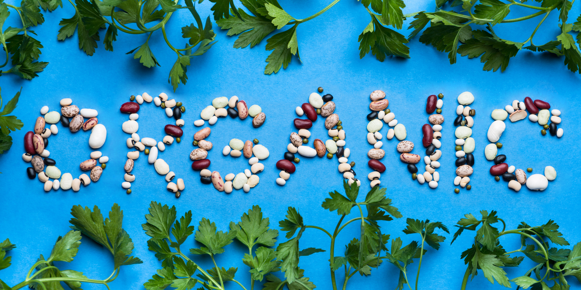 Against a sky blue background, multi colored (earth toned) beans are arranged to spell the word 