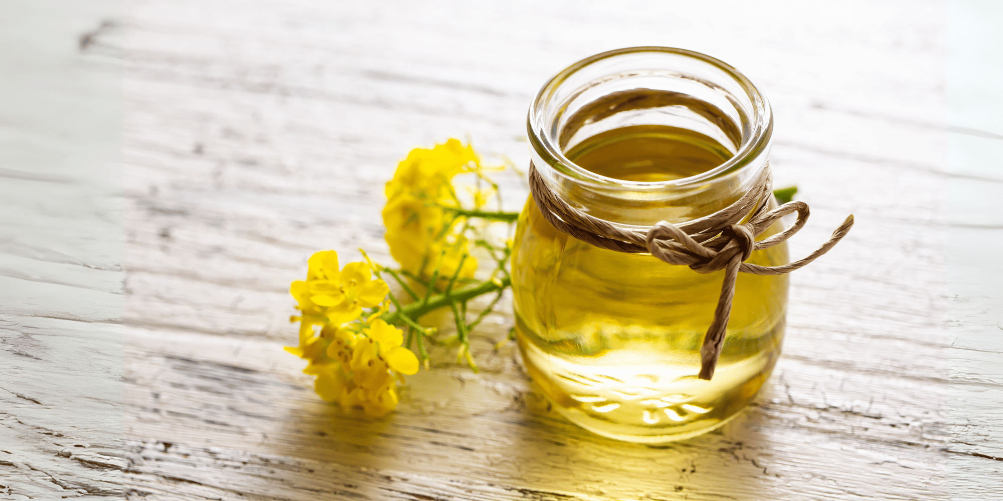A glass jar full of canola or rapeseed oil. Behind are canola/rapeseed flowers. 